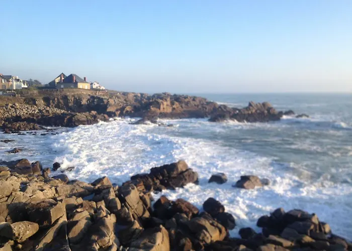 Au Calme Du Bois Du Pouliguen Et Port A Pied Le Pouliguen